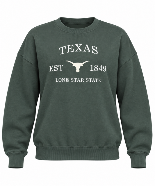 Texas Embroidered Pullover