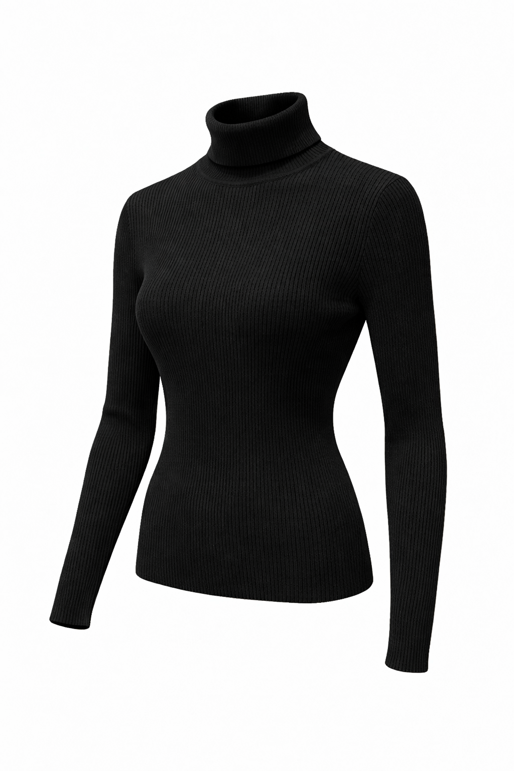 Rib Turtleneck Sweater